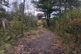 Land for Sale, Lots Highway 208, Hemford, NS