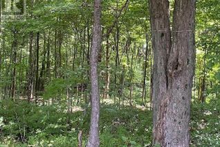 Commercial Land for Sale, 153 Maple Lane, The Blue Mountains, ON