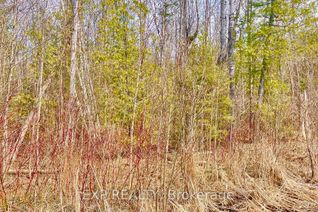 Vacant Residential Land for Sale, 179 Forest Harbr Pkwy, Tay, ON