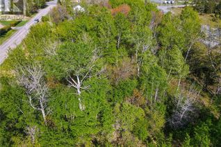 Commercial Land for Sale, 19 Richard Street, Whitefish, ON