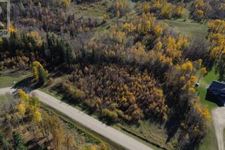 Commercial Land for Sale, 15015 Township Road 424 Township #9, Rural Ponoka County, AB