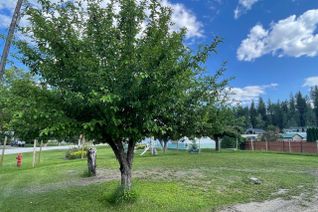 Land for Sale, 580 Central Avenue, Midway, BC