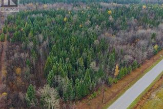 Commercial Land for Sale, Con 10 Pt Lot 4 Way Twp Rd, HEARST, ON
