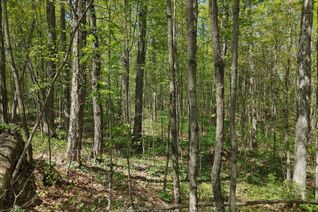 Vacant Residential Land for Sale, 0 County 504 Rd, North Kawartha, ON