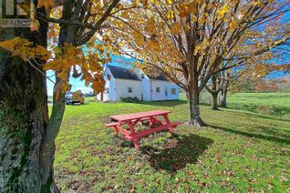 Farm for Sale, 307 Lower Branch Road, Lower Branch, NS