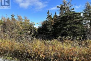 Commercial Land for Sale, 0 North River Road, North River, NL