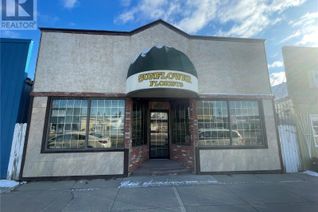 Business for Sale, 82 Main Street N, Wadena, SK