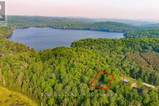 Commercial Land for Sale, 1545 Meteorite Lake Rd, Highlands East, ON
