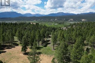 Land for Sale, Lot 14 Saddlewood Lane, Radium Hot Springs, BC