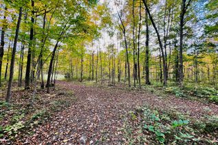 Vacant Residential Land for Sale, N/A Concession 8 Rd, West Grey, ON