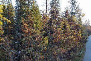 Vacant Residential Land for Sale, Lot L View Ridge Road, Nelson, BC