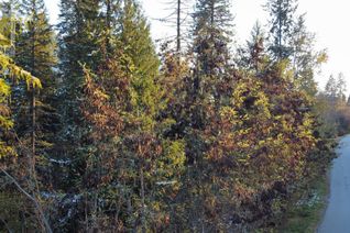 Commercial Land for Sale, Lot L View Ridge Road, Nelson, BC