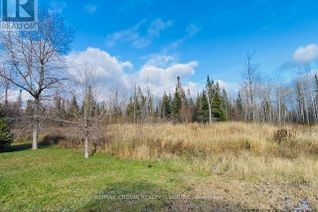 Land for Sale, Pt Lt 20 Con 15 O'Brien Twp Road, Kapuskasing, ON