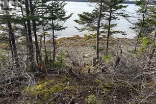 Commercial Land for Sale, Lot # 01 Smith Sound Road, HARCOURT, NL