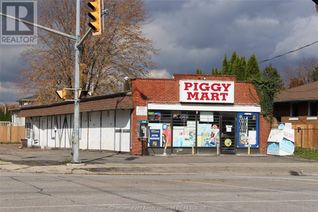 Variety Store Business for Sale, 295 Mcnaughton Avenue East, Chatham, ON