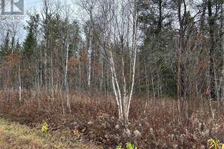Land for Sale, 100 Docking Road, Greater Sudbury, ON