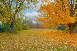 Land for Sale, N/A Victoria St E, New Tecumseth, ON