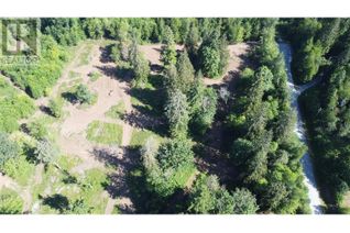 Commercial Land for Sale, 10575 287 Street, Maple Ridge, BC