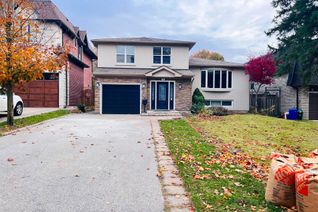 Backsplit for Rent, 17 Summerfeldt Cres, Markham, ON Backsplit for Rent, 17 Summerfeldt Cres, Markham, ON