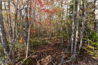 Commercial Land for Sale, 64 Morton Drive, Liverpool, NS
