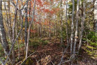 Land for Sale, 64 Morton Drive, Liverpool, NS