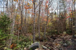 Commercial Land for Sale, 106 Morton Drive, Liverpool, NS