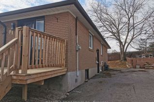 Bungalow for Rent, 81 Walter Ave #(Bsmt), Newmarket, ON
