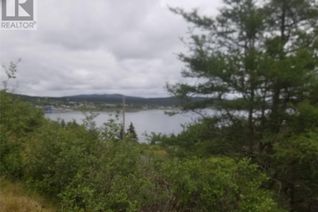 Property for Sale, 80 Gallows Cove Road, Witless Bay, NL
