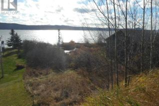 Land for Sale, 313 Main Street, Springdale, NL