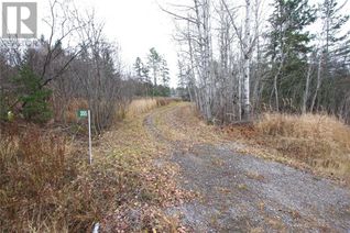 Land for Sale, 355 Nepewassi Lake Road, Estaire, ON