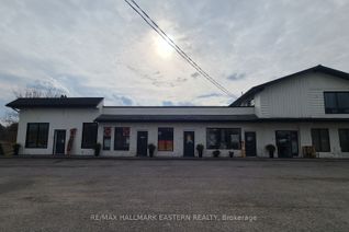 Commercial/Retail Property for Lease, 14 Mary St #B1, Havelock-Belmont-Methuen, ON