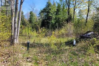 Commercial Land for Sale, Lot 435 Champlain Road, Tiny, ON