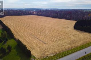 Commercial Land for Sale, 780 Concession 10 Townsend Road, Waterford, ON