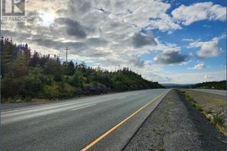 Commercial Land for Sale, 0 Trans Canada Highway Sw, whitbourne, NL