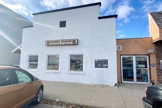 Non-Franchise Business for Sale, 118 Broadway Street, Carnduff, SK
