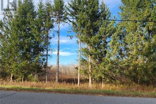 Commercial Land for Sale, 00 Black River Road, South Stormont, ON