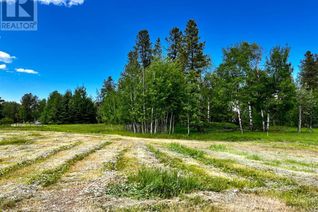Land for Sale, 80014a Old Highway 11a, Rural Clearwater County, AB