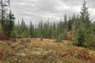 Land for Sale, 40 Stoney Road, Enderby, BC