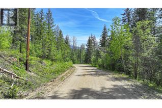 Commercial Land for Sale, 40 Stoney Road, Enderby, BC