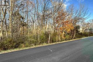 Commercial Land for Sale, Lot George Street, Liverpool, NS