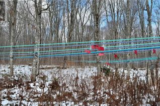 Commercial Farm for Sale, Na Woods Road, Kedgwick, NB