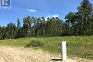Commercial Land for Sale, Prime Acreage Lot 3 Block U, Nipawin Rm No. 487, SK