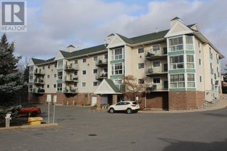 Condo Apartment for Sale, 107 154 Algoma St N, Thunder Bay, ON