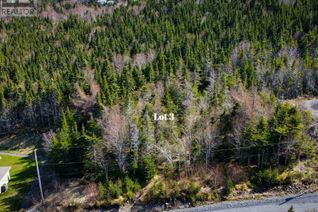Property for Sale, 3 Evergreen Crescent, Blaketown, NL