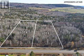 Commercial Land for Sale, Lot 2023-5 Route 617, Burtts Corner, NB
