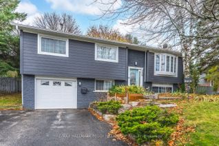Bungalow for Rent, 228 Dodson Rd, Barrie, ON
