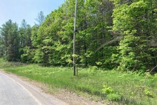 Vacant Residential Land for Sale, 338 Glen Allen Rd, Marmora and Lake, ON