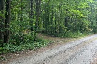 Commercial Land for Sale, 000 Green Place Road, Gravenhurst, ON