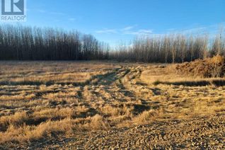 Commercial Land for Sale, Nse-9-66-20-W4, Rural Athabasca County, AB