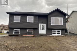 House for Sale, 20 Heidi Crescent, Conception Bay South, NL